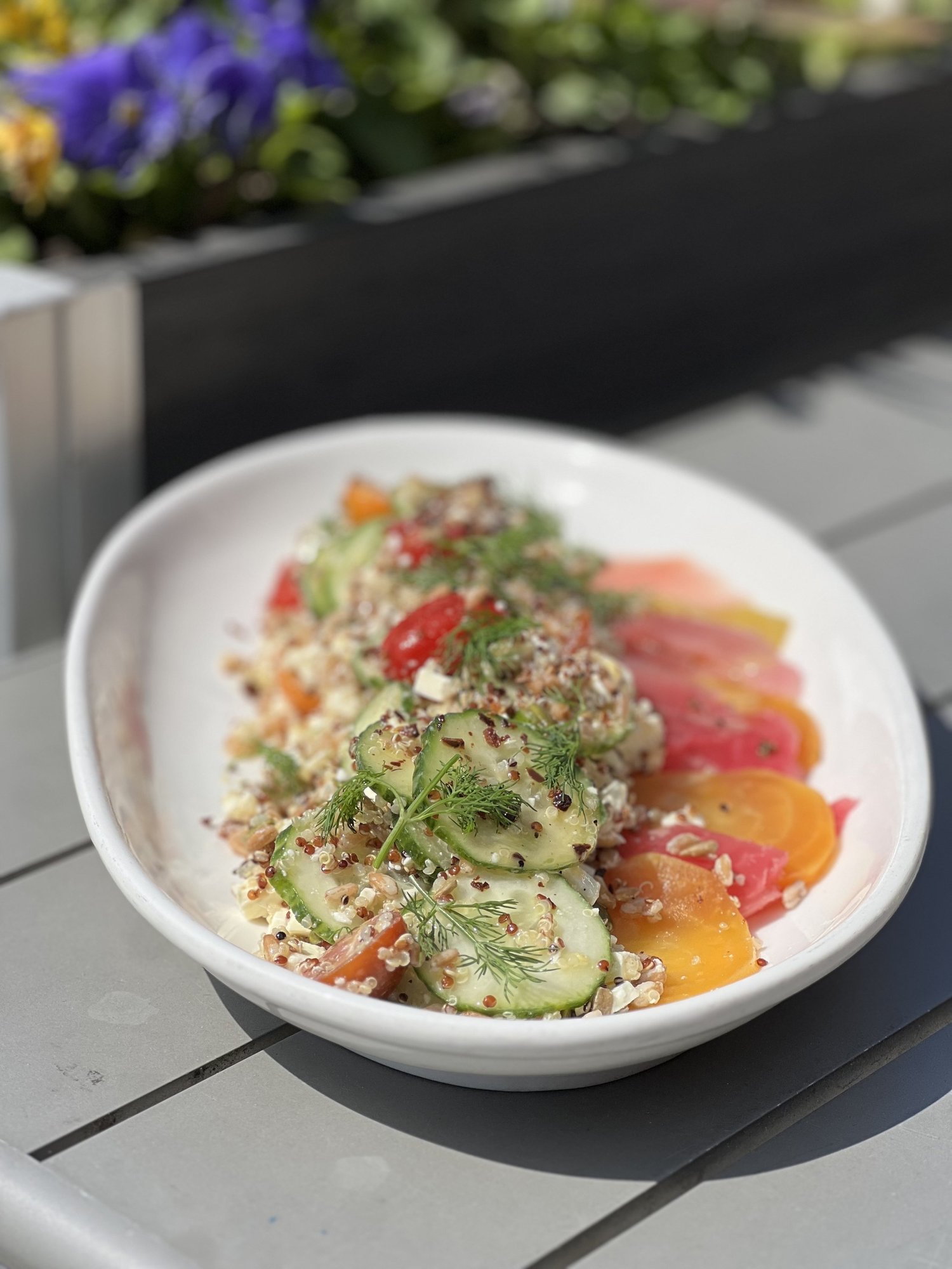 Fresh seasonal salad